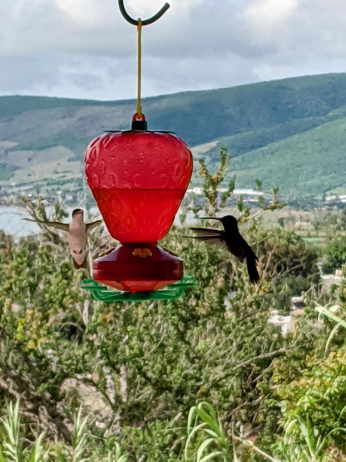 Los Dos B&B Villas Jocotepec Zewnętrze zdjęcie